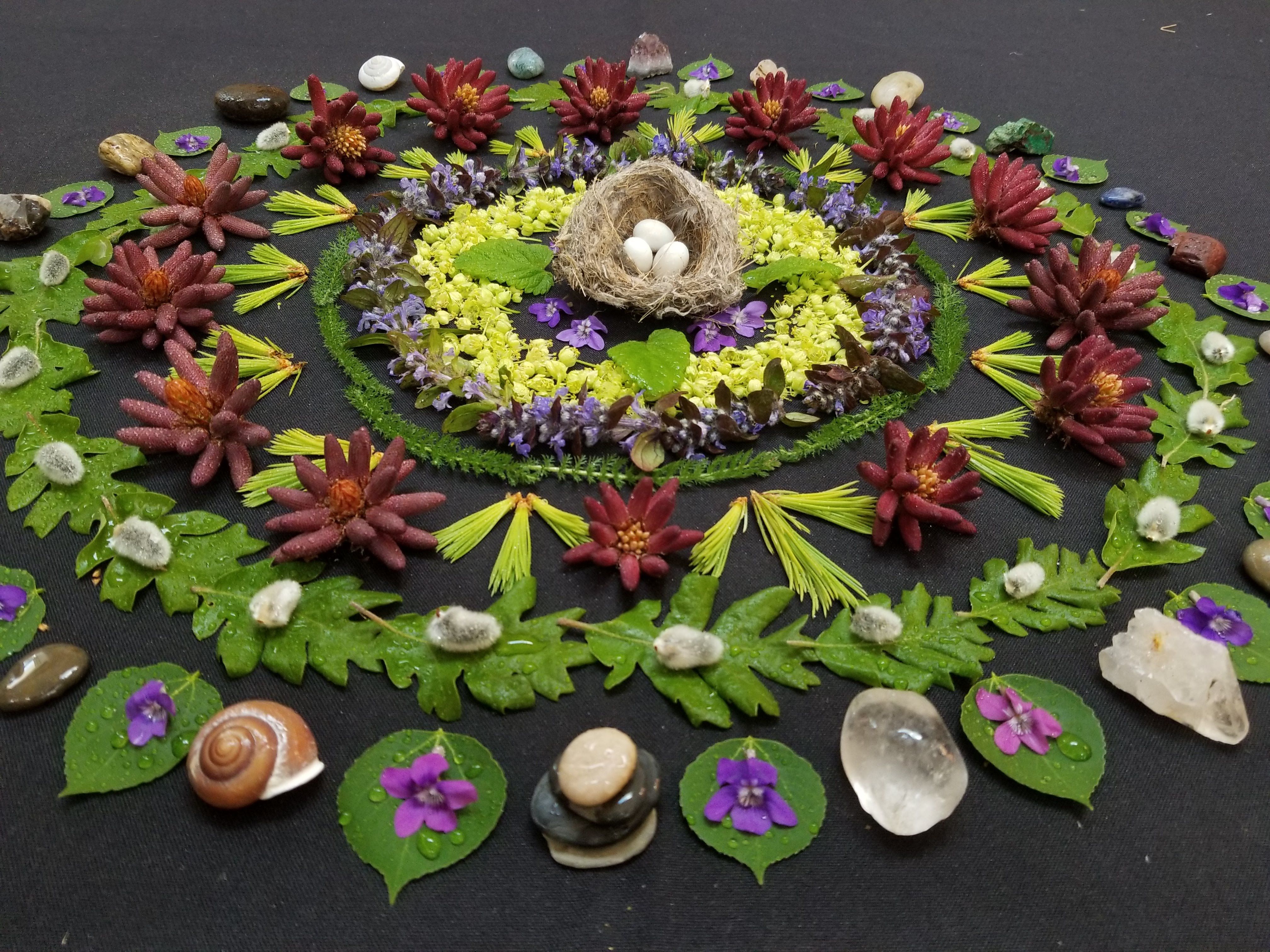 Presencing Practices for Educators Hub - Regen Collective